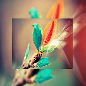 啊，粗，男，菊
